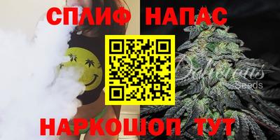 дурь Майкоп
