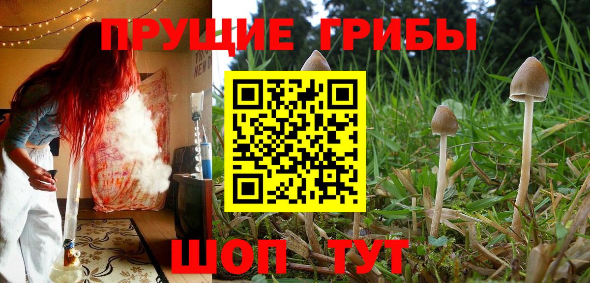 Галлюциногенные грибы MAGIC MUSHROOMS  купить наркоту  Ангарск  Вход с VPN 